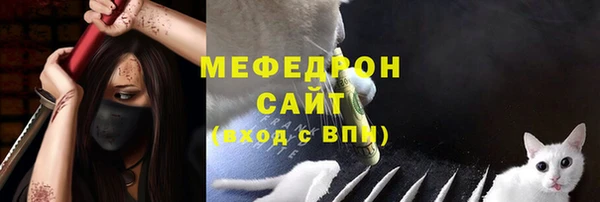 дживик Бронницы
