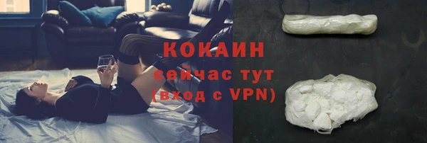 стаф Бугульма