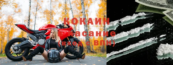 стаф Бугульма