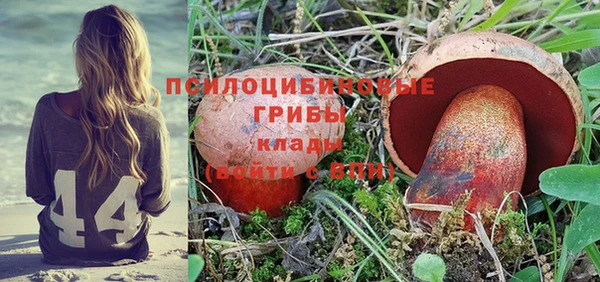 стаф Бугульма