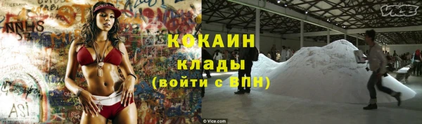дживик Бронницы