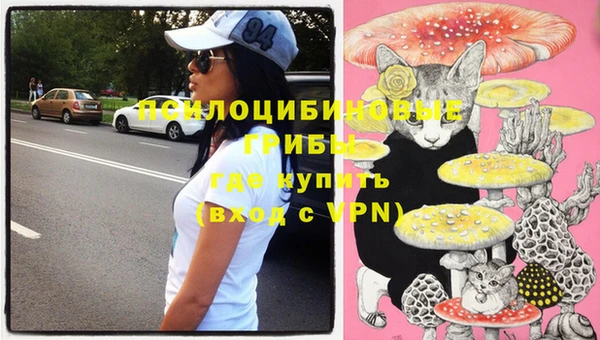 крисы Сосновый Бор