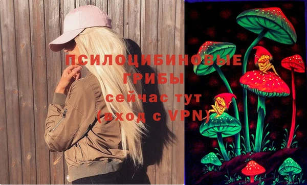 дживик Бронницы